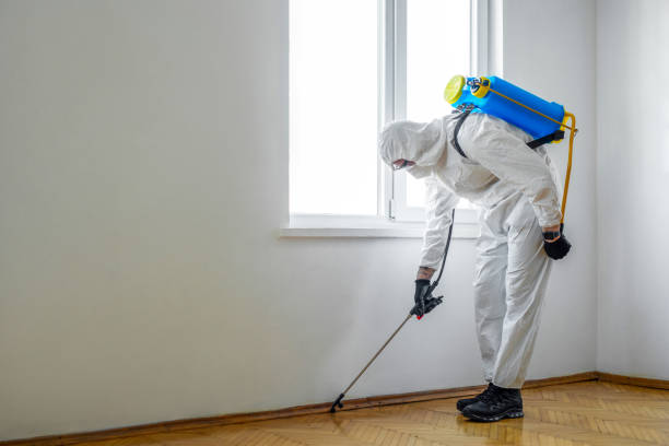 Best Ant Control Services  in Mcconnellsburg, PA