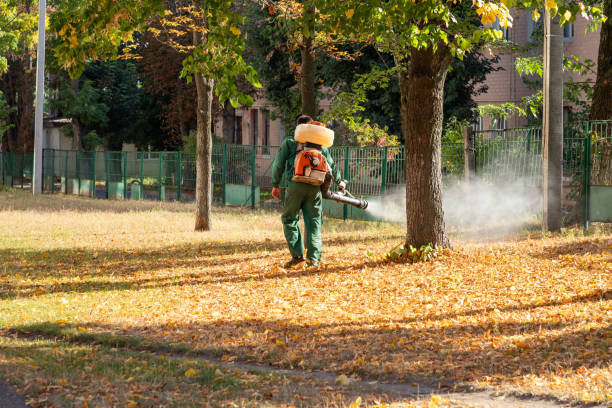 Best Pest Prevention Services  in Mcconnellsburg, PA